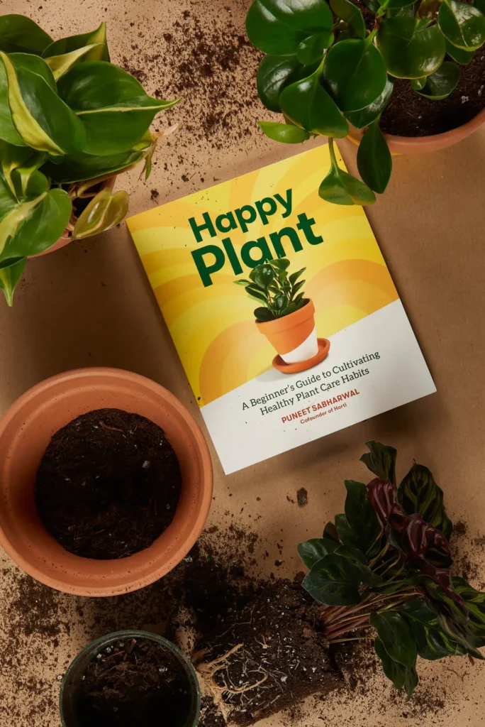 Horti Happy Plant book and product, lifestyle photography by New York photographer Cayla Zahoran