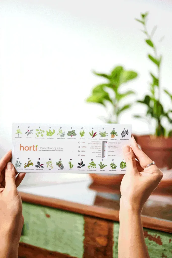 Product and lifestyle photography for Horti by New York photographer Cayla Zahoran